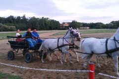 thumbs_csikósok-segédek-bemutatók-42